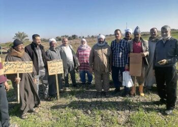 ندوة إرشادية حقلية للقمح