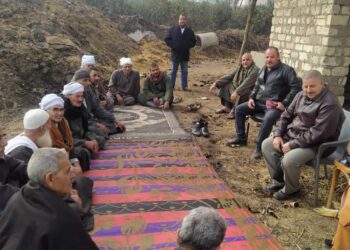 يوم حقل للقمح