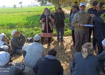 الإرشاد الزراعي