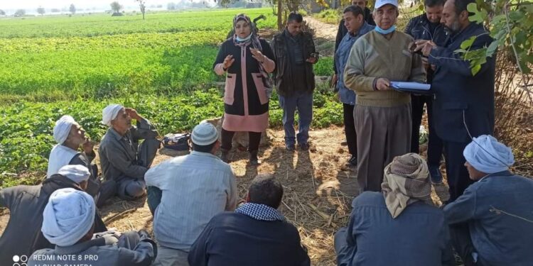 المدارس الحقلية..مدير الإرشاد الزراعي: جسر تواصل بين الفلاحين والخبراء 1 الإرشاد الزراعي