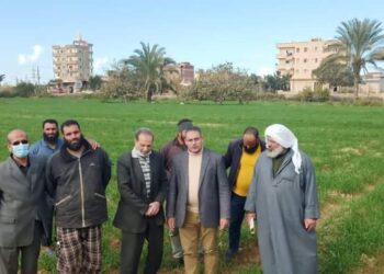 يوم حقل لمحصول القمح