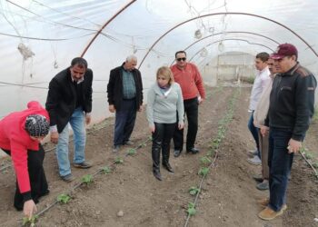 “العدوي” تتفقد مشروعات المجالس الزراعية و تُكرم العاملين بإدارة الإرشاد الزراعي