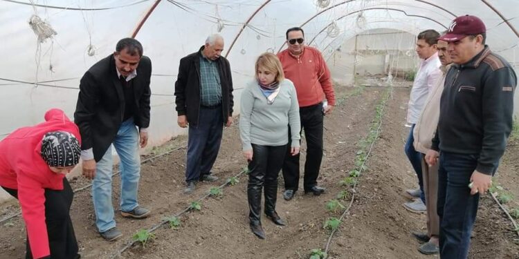 "العدوي" تتفقد مشروعات المجالس الزراعية و تُكرم العاملين بإدارة الإرشاد الزراعي 1 “العدوي” تتفقد مشروعات المجالس الزراعية و تُكرم العاملين بإدارة الإرشاد الزراعي