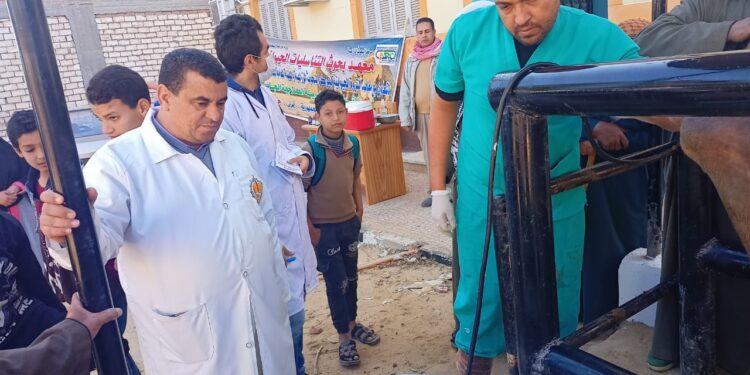 الزراعة تنظم قافلة بيطرية مجانية في محافظة البحيرة في إطار مبادرة "حياة كريمة" 1 قافلة بيطرية