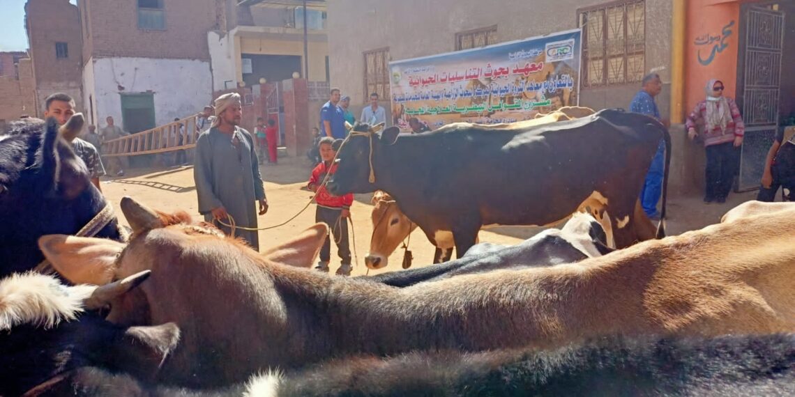 الأمان الحيوي