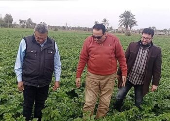حصر المراوي بالأراضي الزراعية