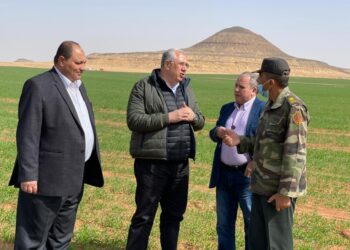 مشروعات التنمية الزراعية بتوشكى