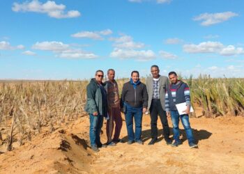 مركزي النخيل ينظم يوم حقل للمزارعين بمنطقة المغرة