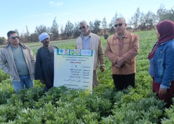 مركز بحوث الصحراء