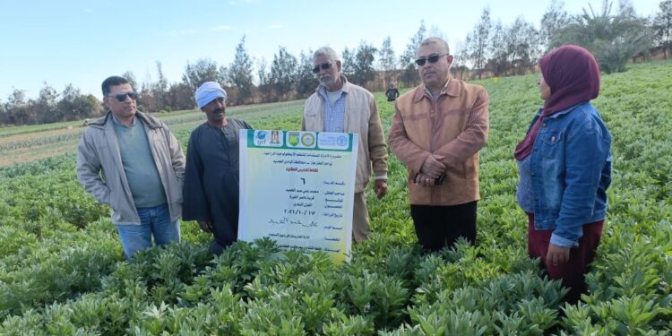 مركز بحوث الصحراء ينفذ 75 مدرسة حقلية نموذجية بالوادي الجديد 1 مركز بحوث الصحراء