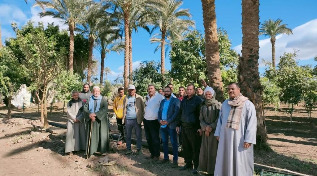 معمل أبحاث النخيل ينظم مدرسة حقلية للمزارعين بمركز مغاغة في المنيا 1 معمل أبحاث النخيل
