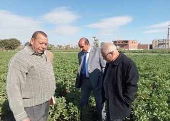 إدارة فحص التقاوي