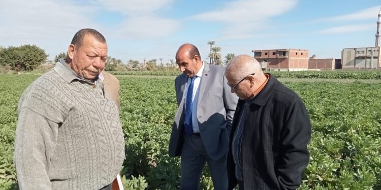 إدارة فحص التقاوي تتابع حقول المتعاقدين بالفيوم 1 إدارة فحص التقاوي