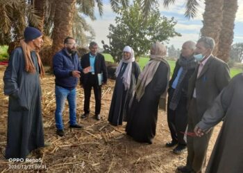 مدرسة حقلية