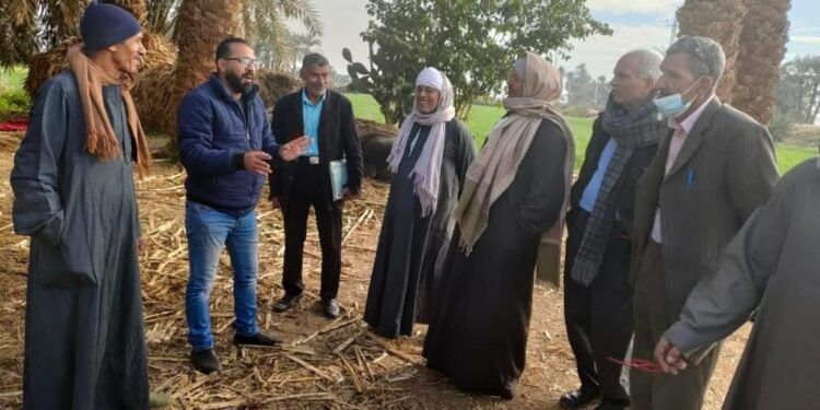 مركزي النخيل ينظم خامس مدرسة حقلية لمزارعي المنيا 1 مدرسة حقلية
