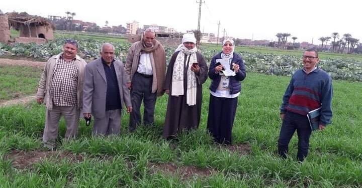 فريق بحثي من الحملة القومية للقمح يتفقد الحقول الإرشادية بالفيوم 1 الحملة القومية للقمح