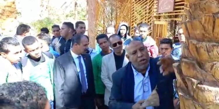 نشاط مكثف لـ "مركزي النخيل" بالوادي الجديد لمكافحة سوسة النخيل الحمراء 1 سوسة النخيل الحمراء
