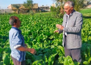 فحص الزراعات الشتوية