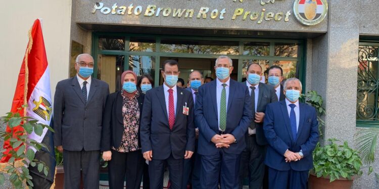 ٦٤٤ ألف فدان إجمالي مساحة المناطق الخالية من العفن البني في البطاطس 1 العفن البني في البطاطس