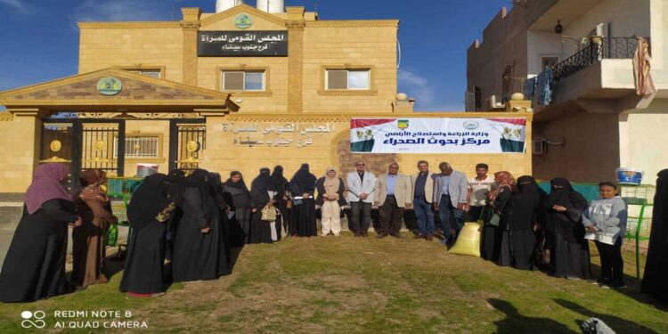 بحوث الصحراء يساهم فى دعم المرأة المعيلة بجنوب سيناء 1 دعم المرأة المعيلة