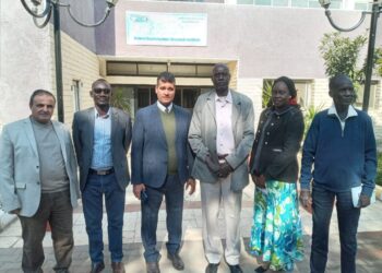 التناسليات الحيوانية