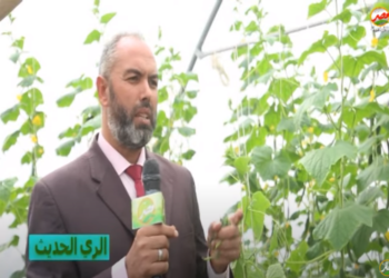 الري الحديث في الصوب