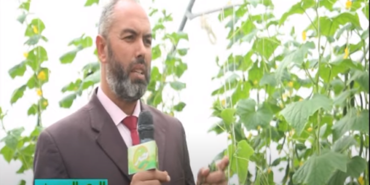 الري الحديث في الصوب الزراعة.. مدير الإدارة العامة للخضر يوضح أهميته 1 الري الحديث في الصوب