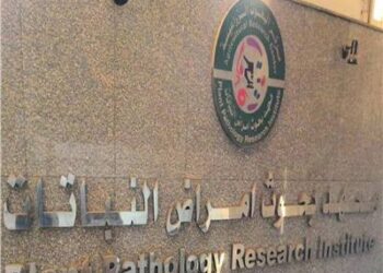 أمراض النباتات