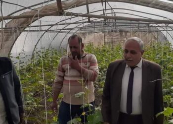 نظم الري الحديث