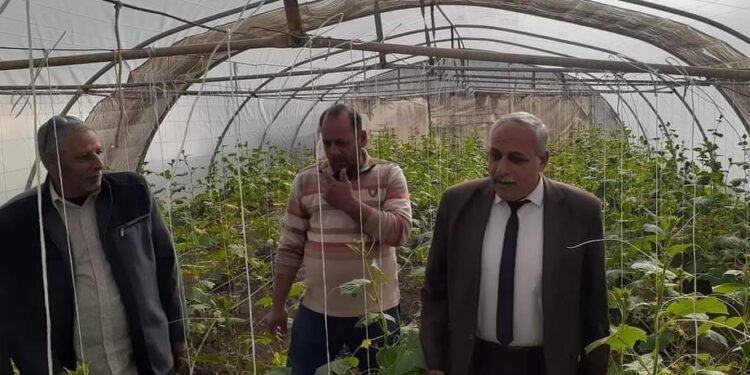 "أبوشادي" يطالب مهندسي بسيون بتشجيع المزارعين على نظم الري الحديث 1 نظم الري الحديث