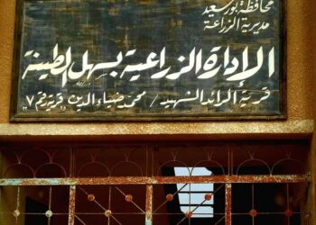 زراعة بورسعيد