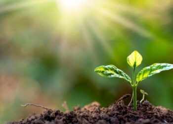 ارتفاع درجة الحرارة التربة