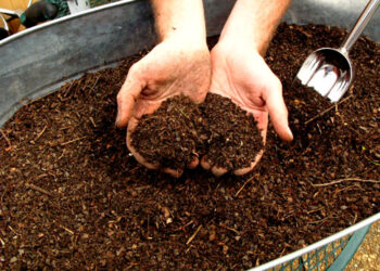 الأسمدة العضوية