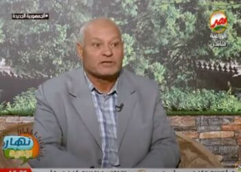 الفول البلدي