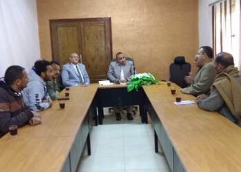 تنمية الريف المصري