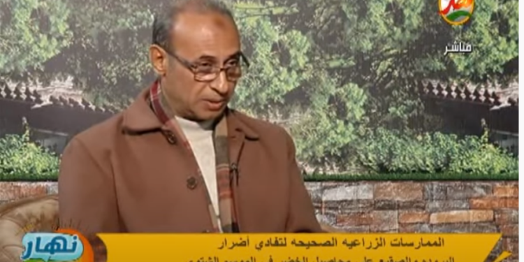 هل تؤثر درجات الحرارة المنخفضة على المحاصيل الزراعية؟.. باحث يجيب 1 المحاصيل الزراعية