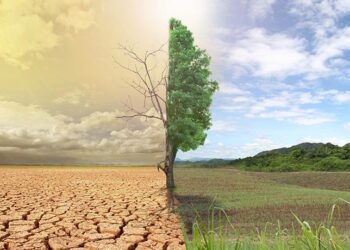 المعاملات الزراعية الخاطئة