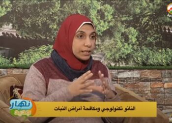 النانو تكنولوجي