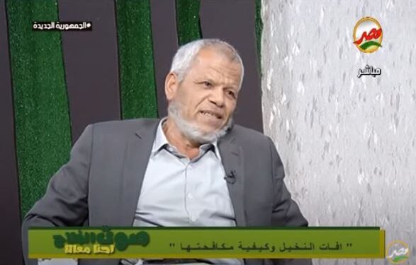 أستاذ حشرات يستعرض الآفات التي تصيب النخلة وطرق الوقاية 1 النخلة