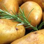 أصناف البطاطس