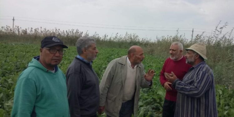 زراعة بورسعيد تنظم يوم حقل لبنجر السكر بقطاع الاستصلاح 1 يوم حقل لبنجر السكر