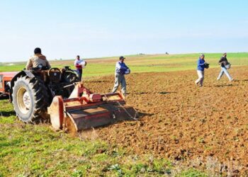 تأهيل الأراضي الزراعية