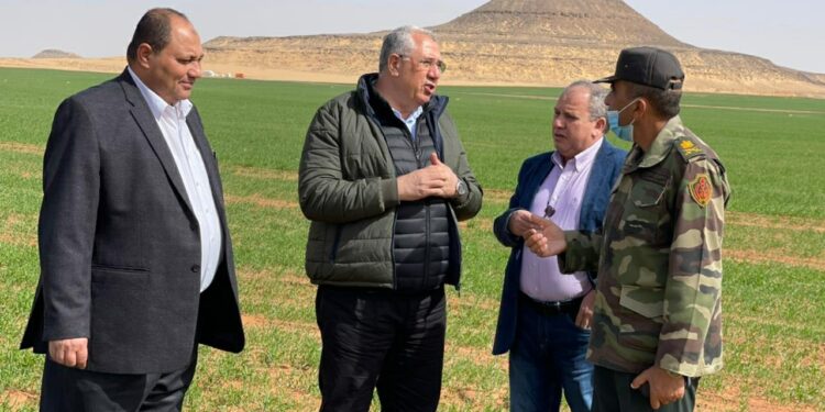 إنجازات وزارة الزارعة