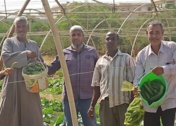 مديرية الزراعة بالبحر الأحمر