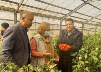 الوطني للخضر