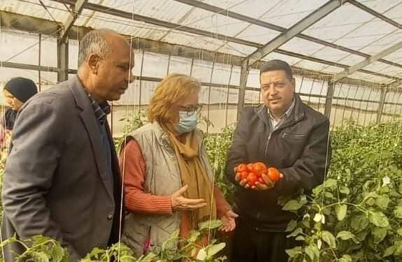 الوطني للخضر