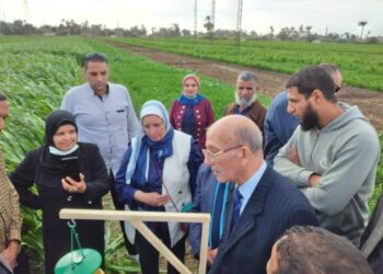 مكافحة دودة الحشد الخريفية.. زراعة أسيوط تنظم يوم حقلي للمزارعين