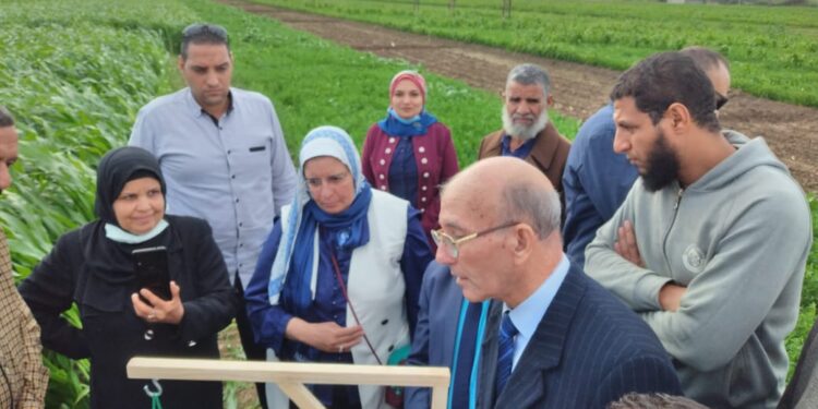 مكافحة دودة الحشد الخريفية.. زراعة أسيوط تنظم يوم حقلي للمزارعين 1 مكافحة دودة الحشد الخريفية.. زراعة أسيوط تنظم يوم حقلي للمزارعين