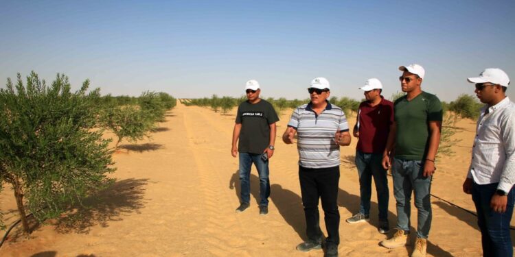 الريف المصري تطلق مبادرة لتقديم أسمدة مدعمة لصغار المزارعين من منتفعي الـ1.5 مليون فدان 1 أسمدة مدعمة لصغار المزارعين