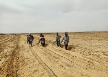 ندرة المياه